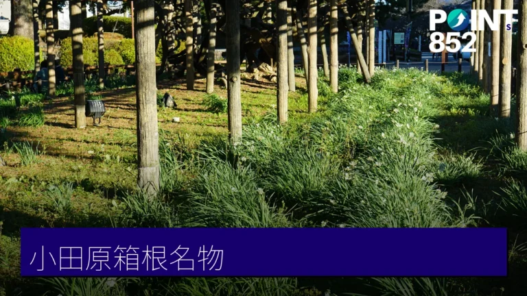 小田原.箱根名物手信精選:蒲鉾、外郎、寄木細工必買伴手禮指南 小田原.箱根名物手信精選:蒲鉾、外郎、寄木細工必買伴手禮指南