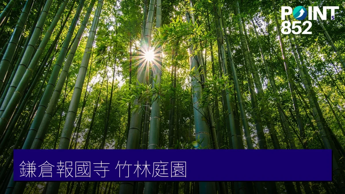 鎌倉報國寺竹林庭園