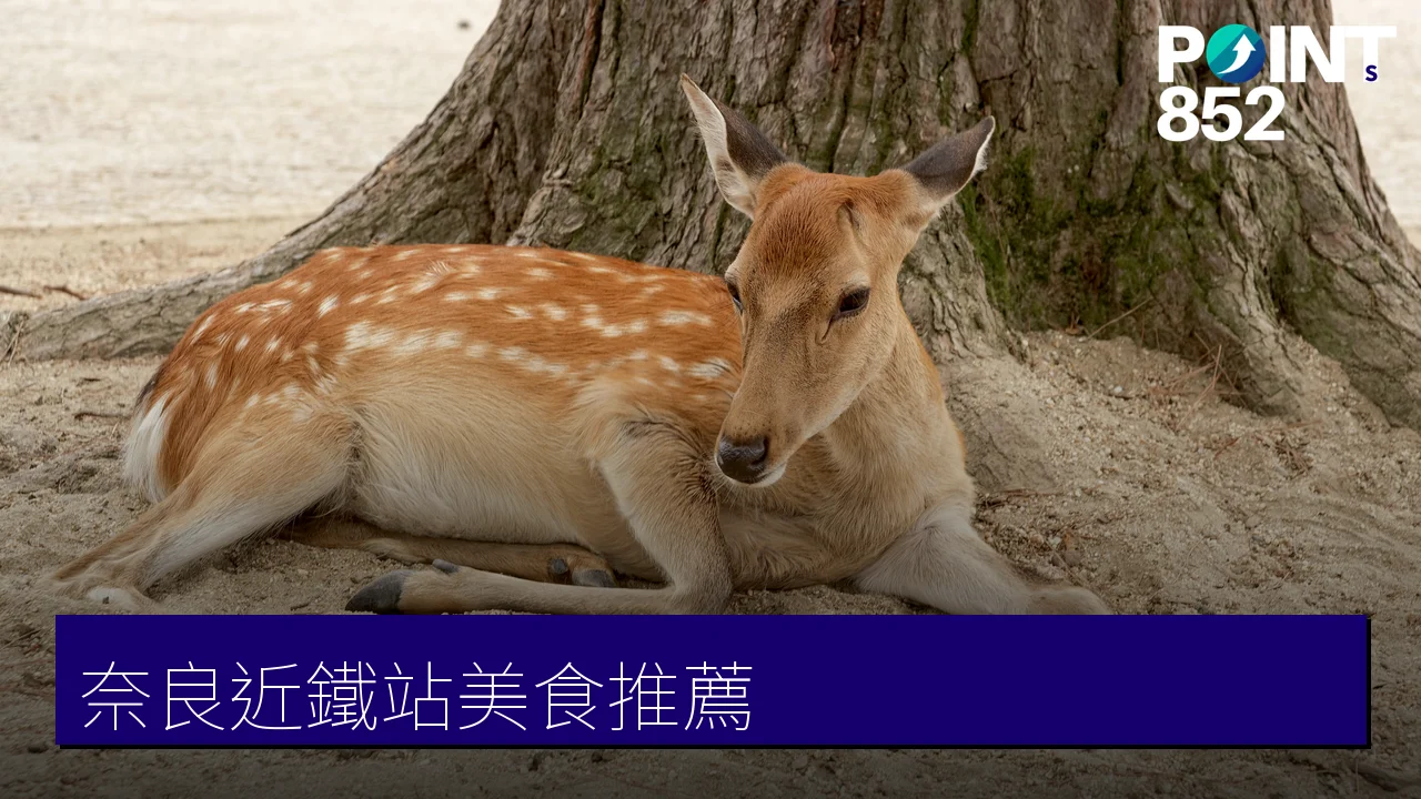 奈良美食推薦：近鐵奈良站周邊鰻魚飯、和牛壽喜燒與大和精釀啤酒