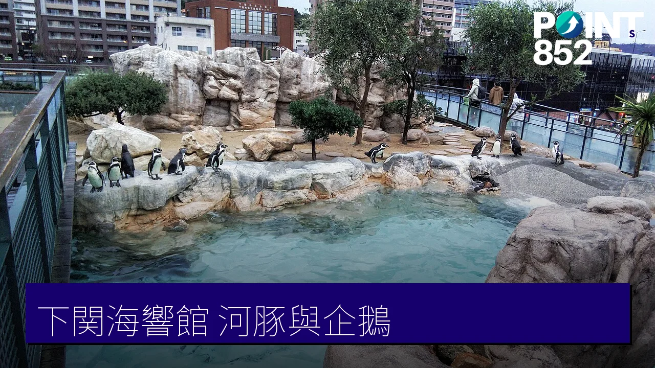 【下関】市立水族館「海響館」：全球河豚展示與日本最大級企鵝村