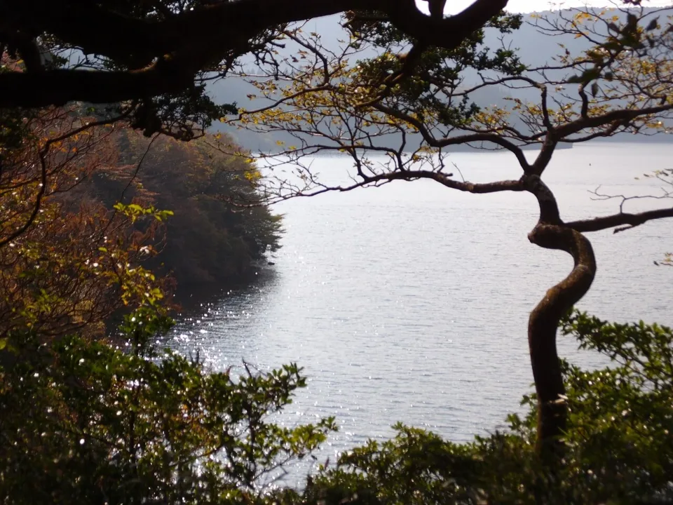 從恩賜箱根公園眺望蘆之湖
