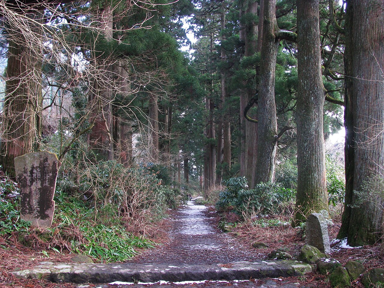 箱根舊街道杉並木與舊道石板路健行路線