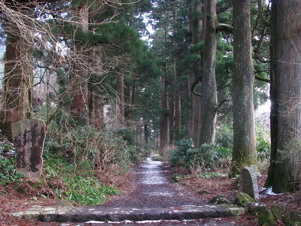 箱根舊街道杉並木與舊道石板路健行路線