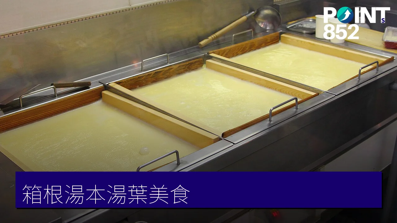 【箱根湯本】湯葉（豆皮）美食地圖：湯葉丼、湯葉拉麵