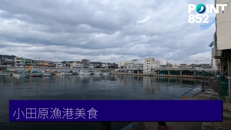 小田原漁港美食攻略:6間在地名店食海鮮丼、四川料理與大雄山門前茶屋 小田原漁港美食攻略:6間在地名店食海鮮丼、四川料理與大雄山門前茶屋