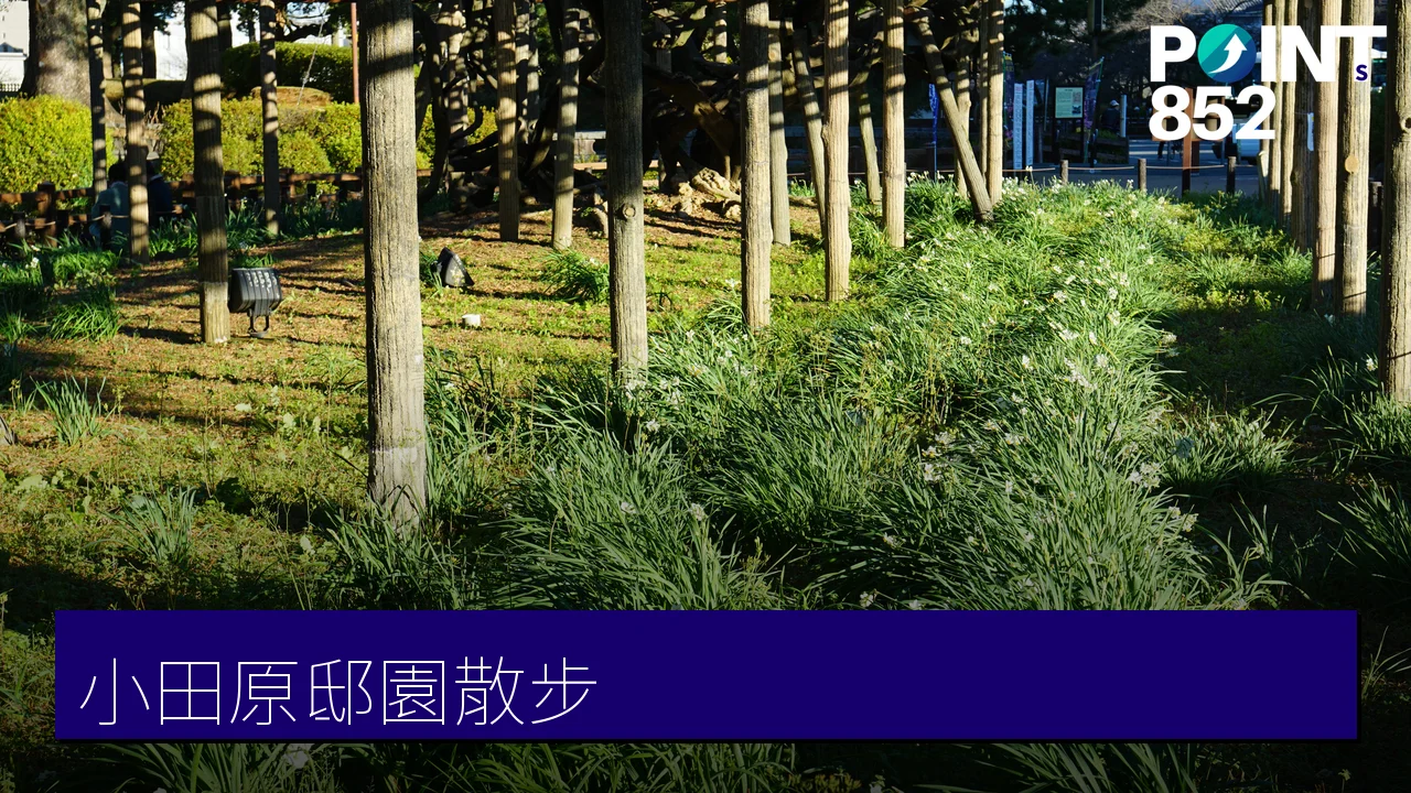 小田原景點散步:邸園庭園、街角博物館與在地老店一日遊指南 小田原景點散步:邸園庭園、街角博物館與在地老店一日遊指南