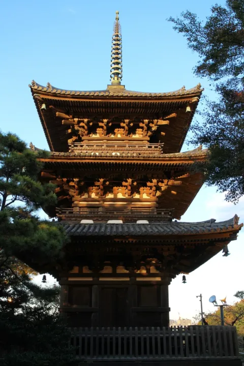 三溪園園內的三重塔古建築