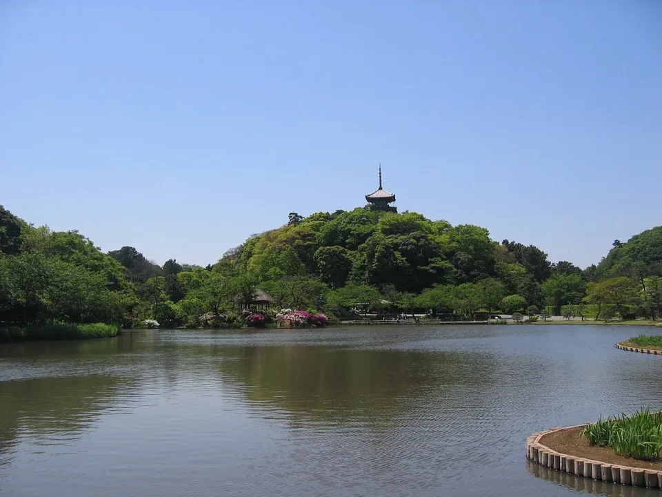 三溪園的大池與遠處山丘上的三重塔