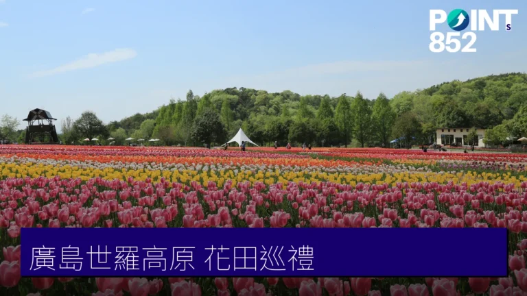 廣島世羅高原賞花全攻略：8大花田農園花期一覽（芝櫻、鬱金香、紫藤、玫瑰）