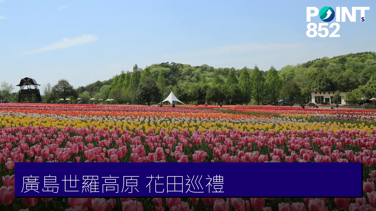 廣島世羅高原賞花全攻略：8大花田農園花期一覽（芝櫻、鬱金香、紫藤、玫瑰）