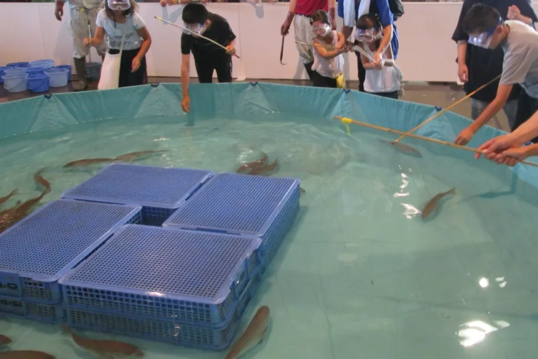 釣魚池垂釣（示意圖）