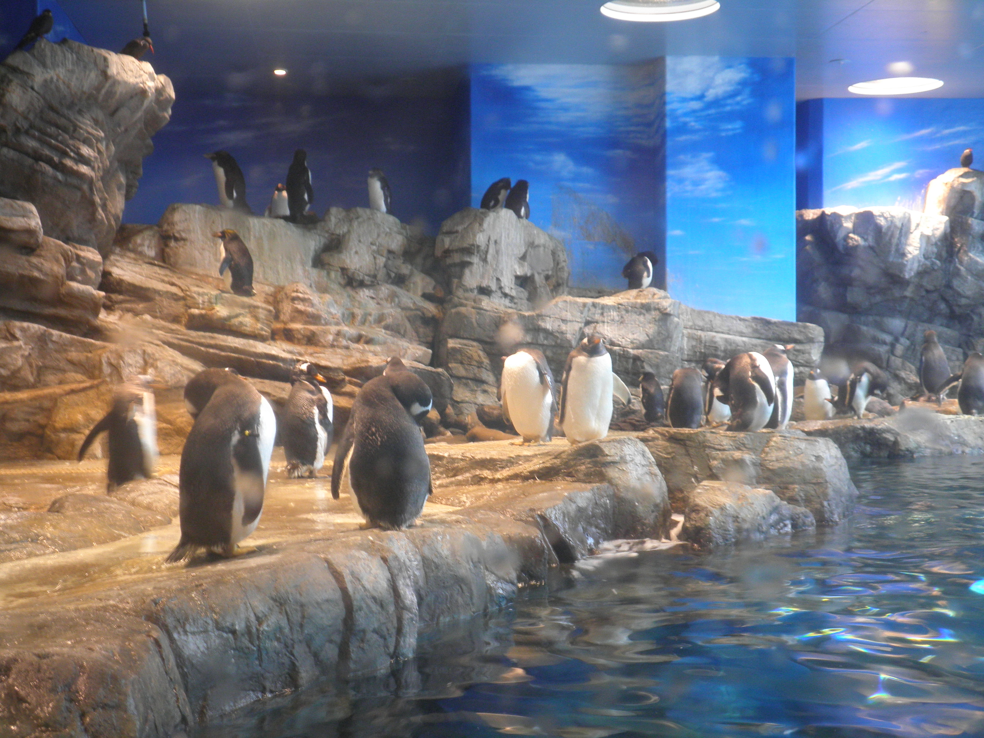 海響館（下關市立水族館）外觀