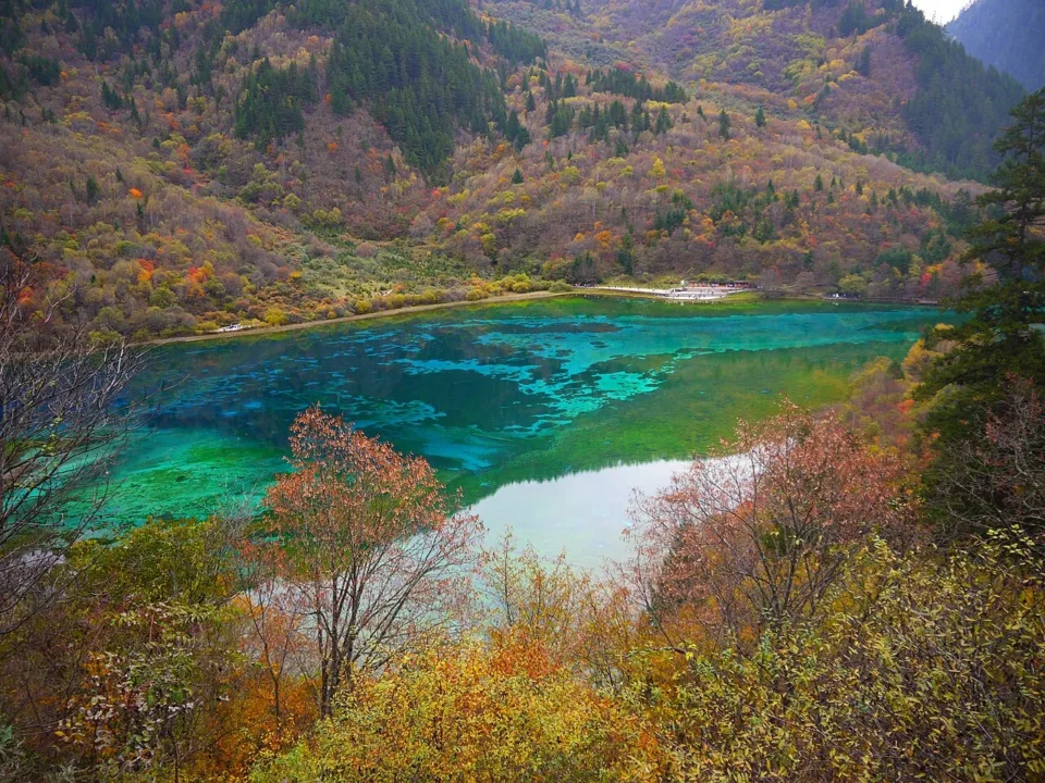 7 天 成都、九寨溝、黃龍風景區(西九龍高鐵往返)