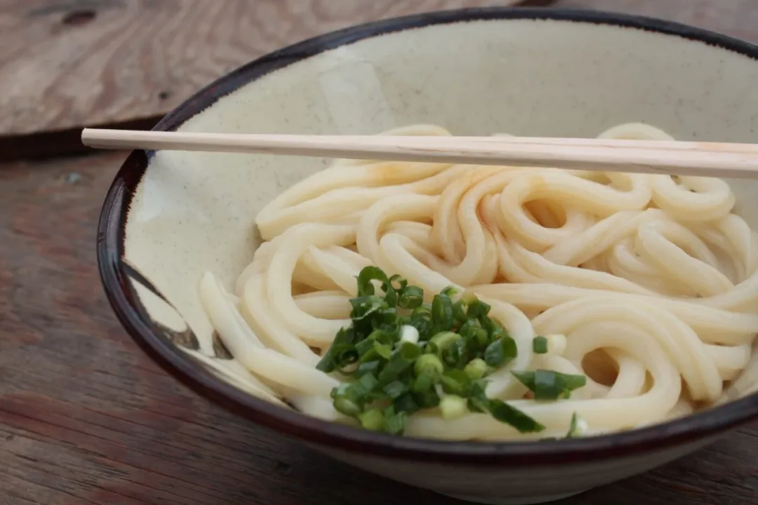 讚岐烏冬麵
