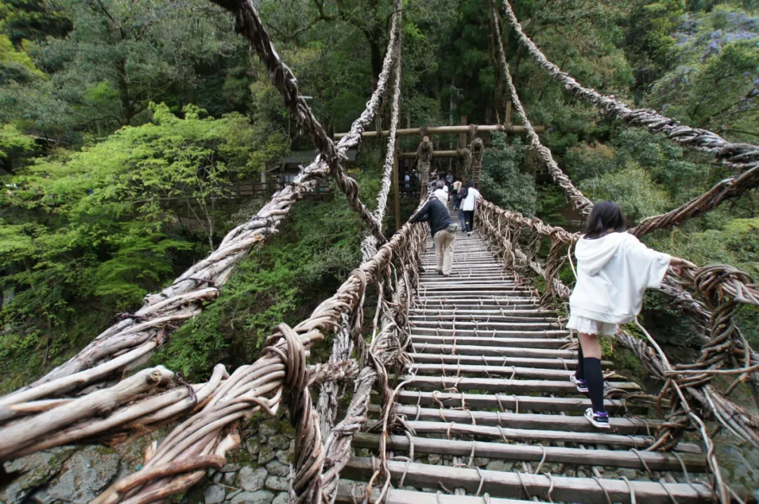 祖谷蔓橋