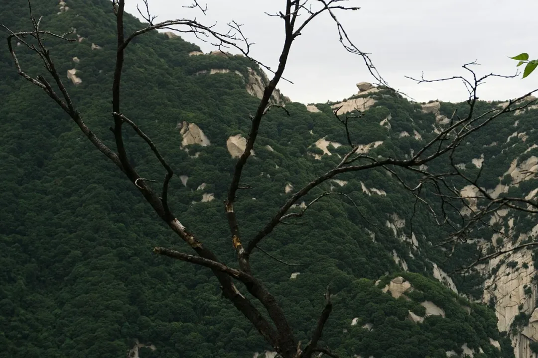 5天直航 西安 · 華山