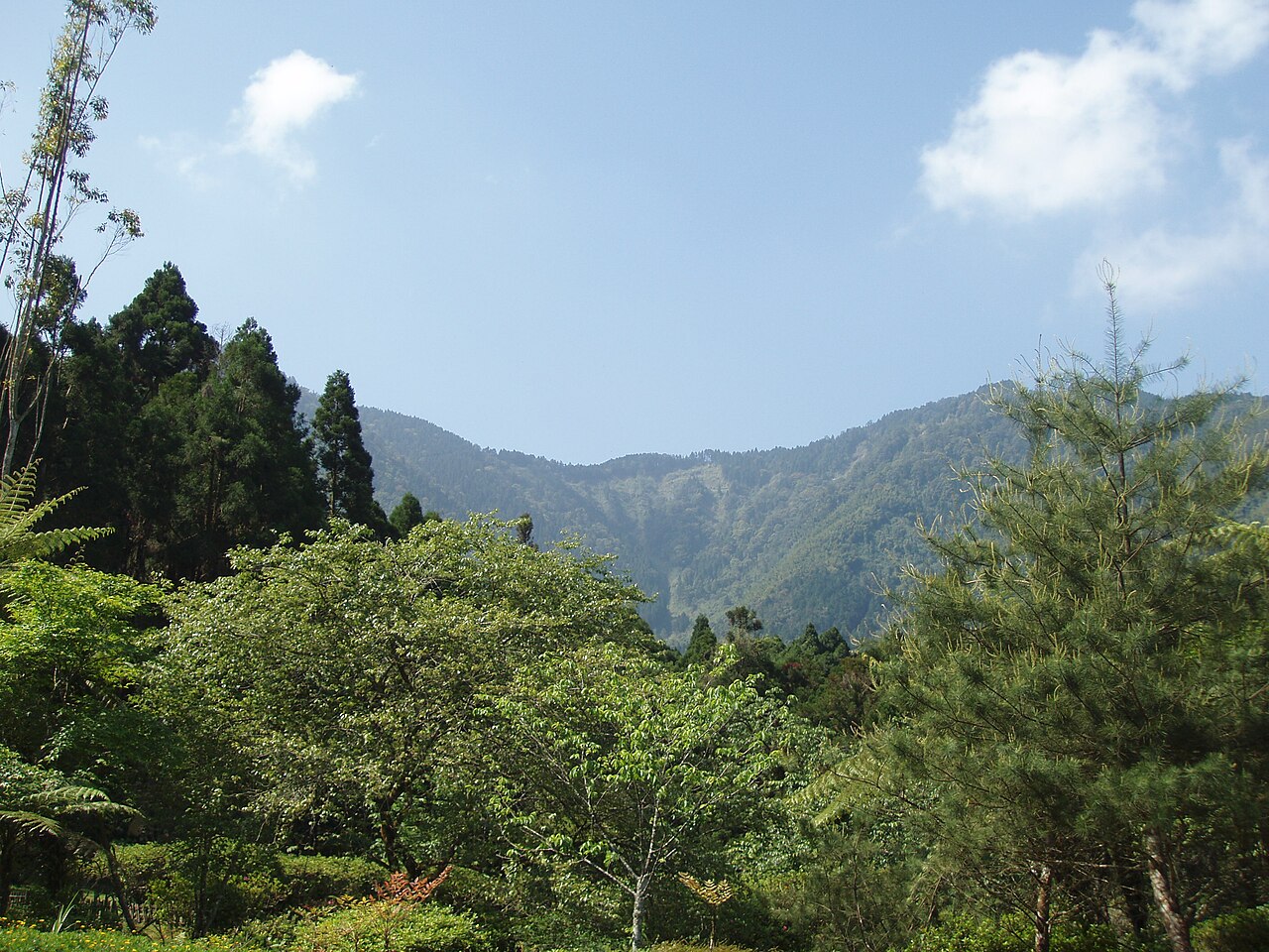 5 天台中南投:溪頭森林+妖怪村的療癒行程