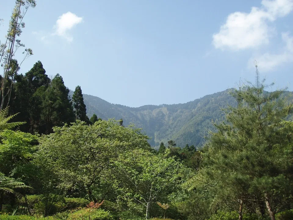 5 天台中南投：溪頭森林＋妖怪村的療癒行程
