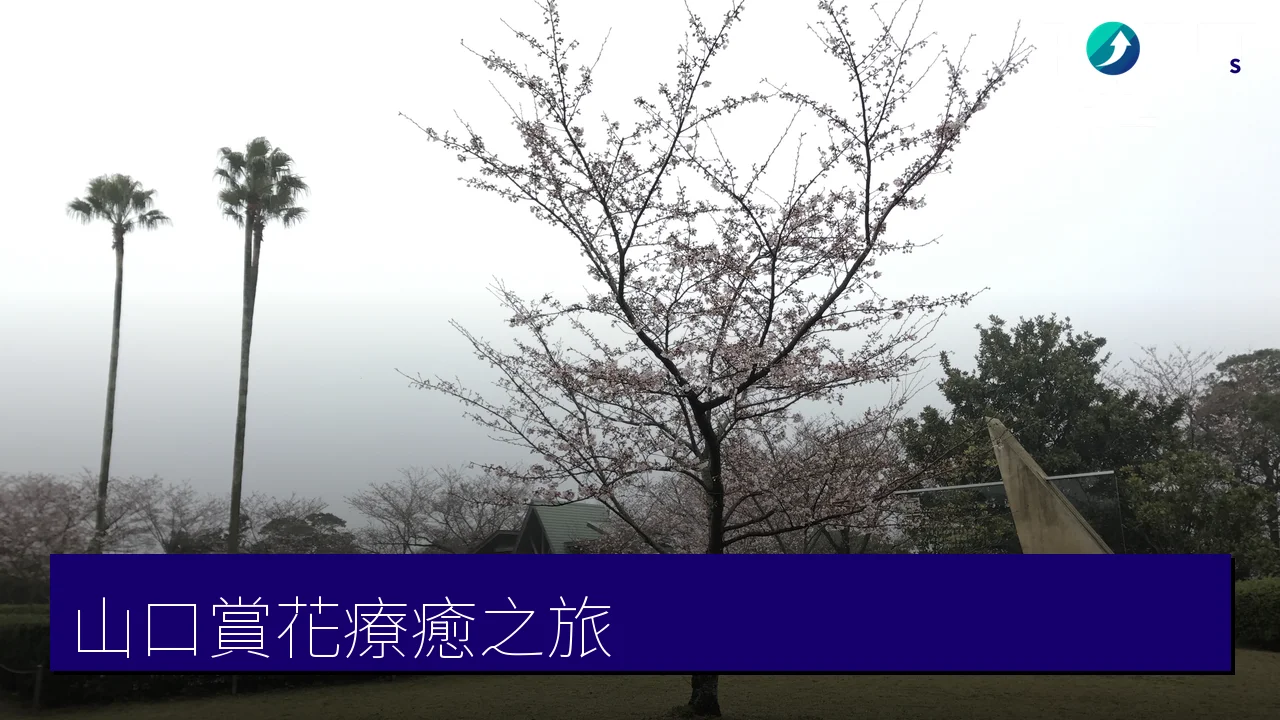 山口縣賞花療癒之旅｜宇部・美祢・山陽小野田一泊二日花旅，秋芳洞、ときわ公園與玫瑰園精選