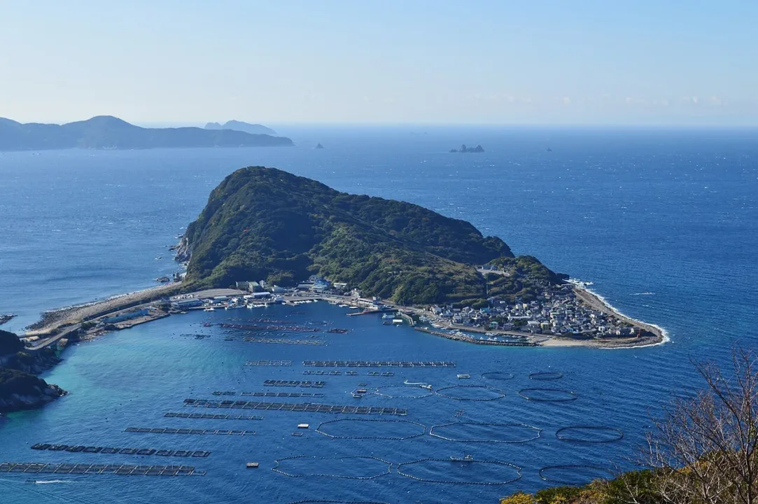 大月町柏島祖母綠海