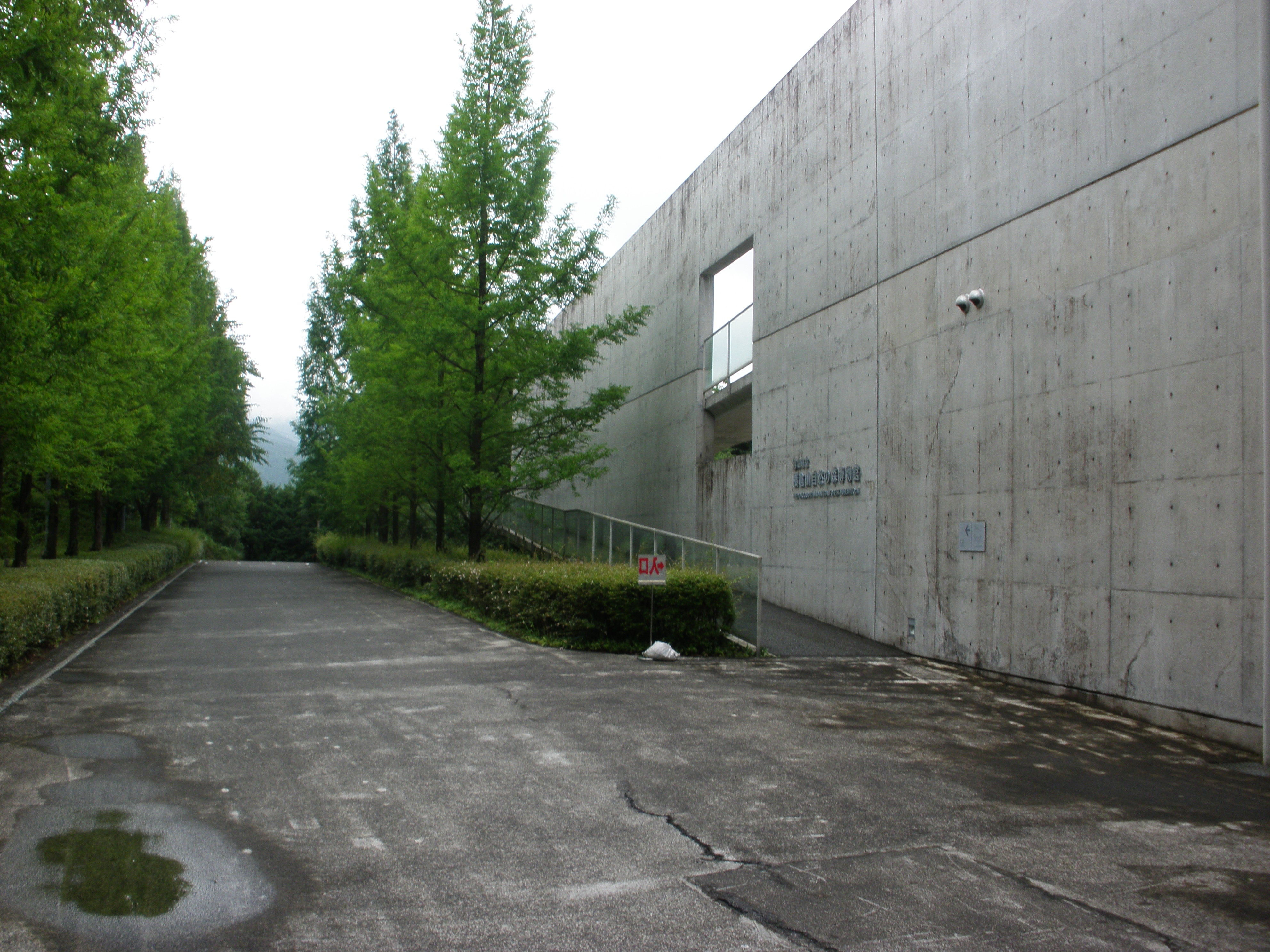 横倉山自然之森博物館
