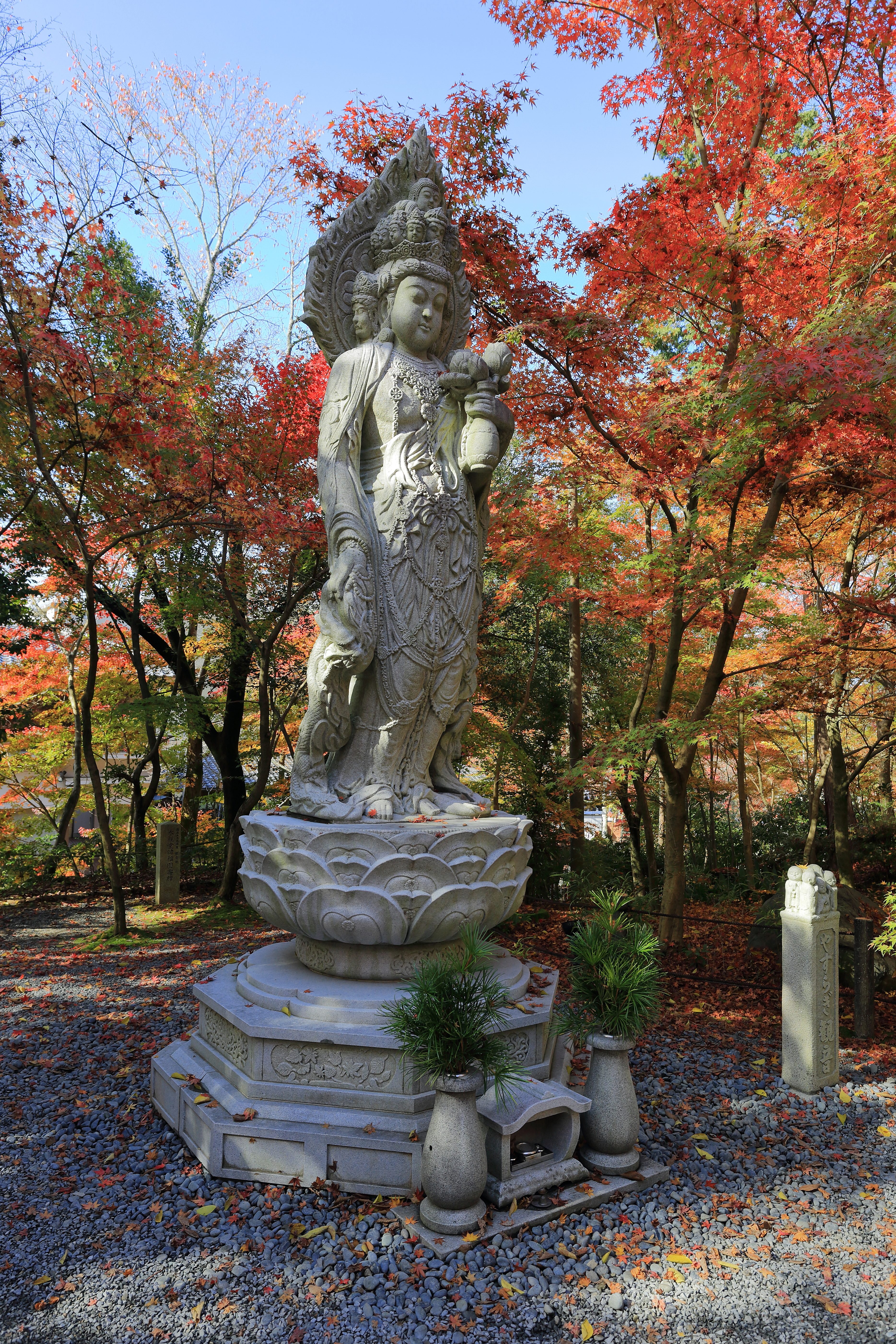 永觀堂禪林寺的秋天紅葉