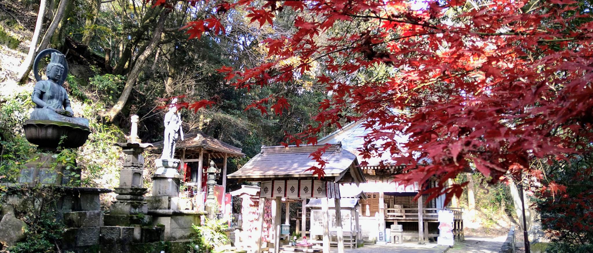 德島寺院內染紅的楓葉與古樸建築