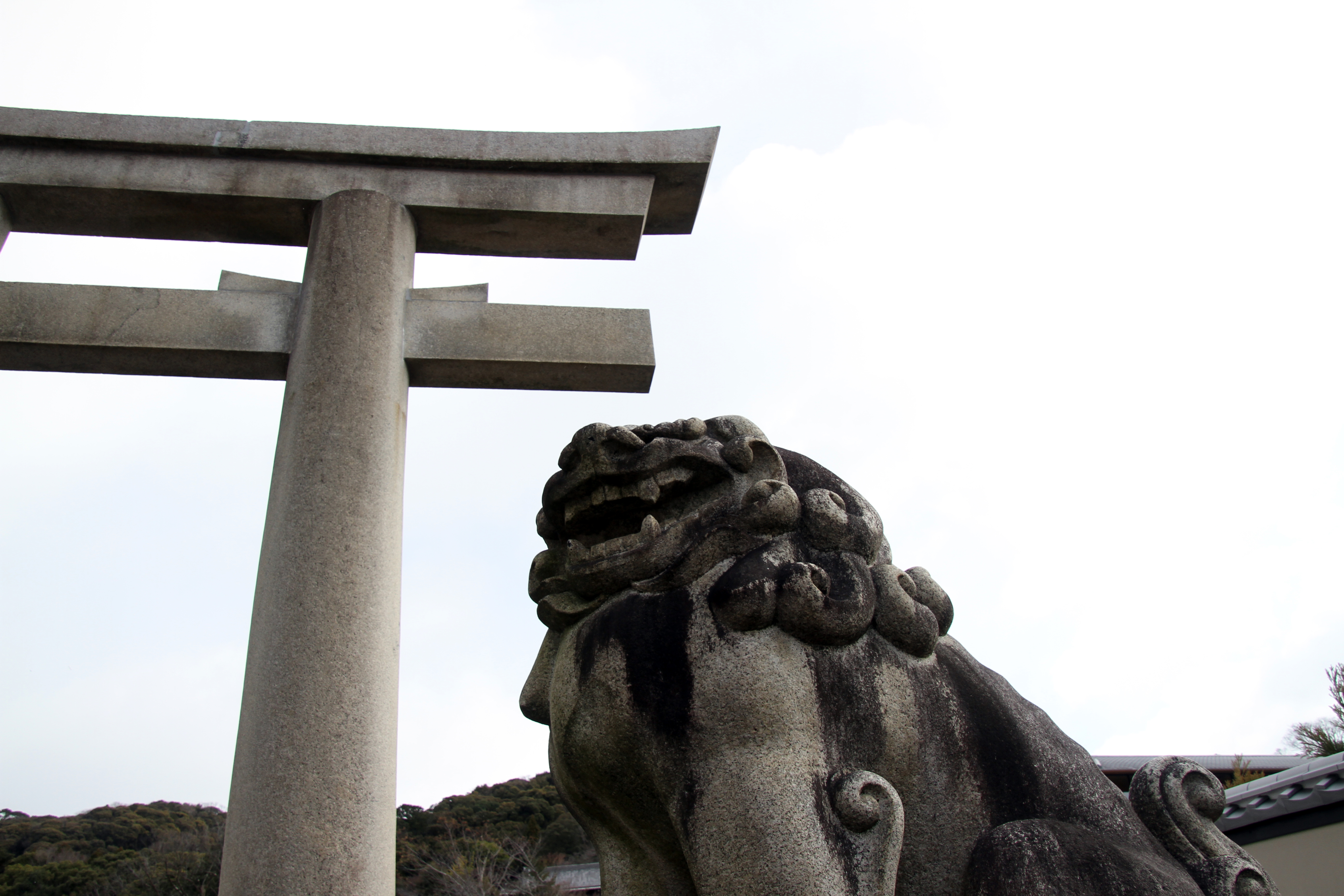 高台寺庭園