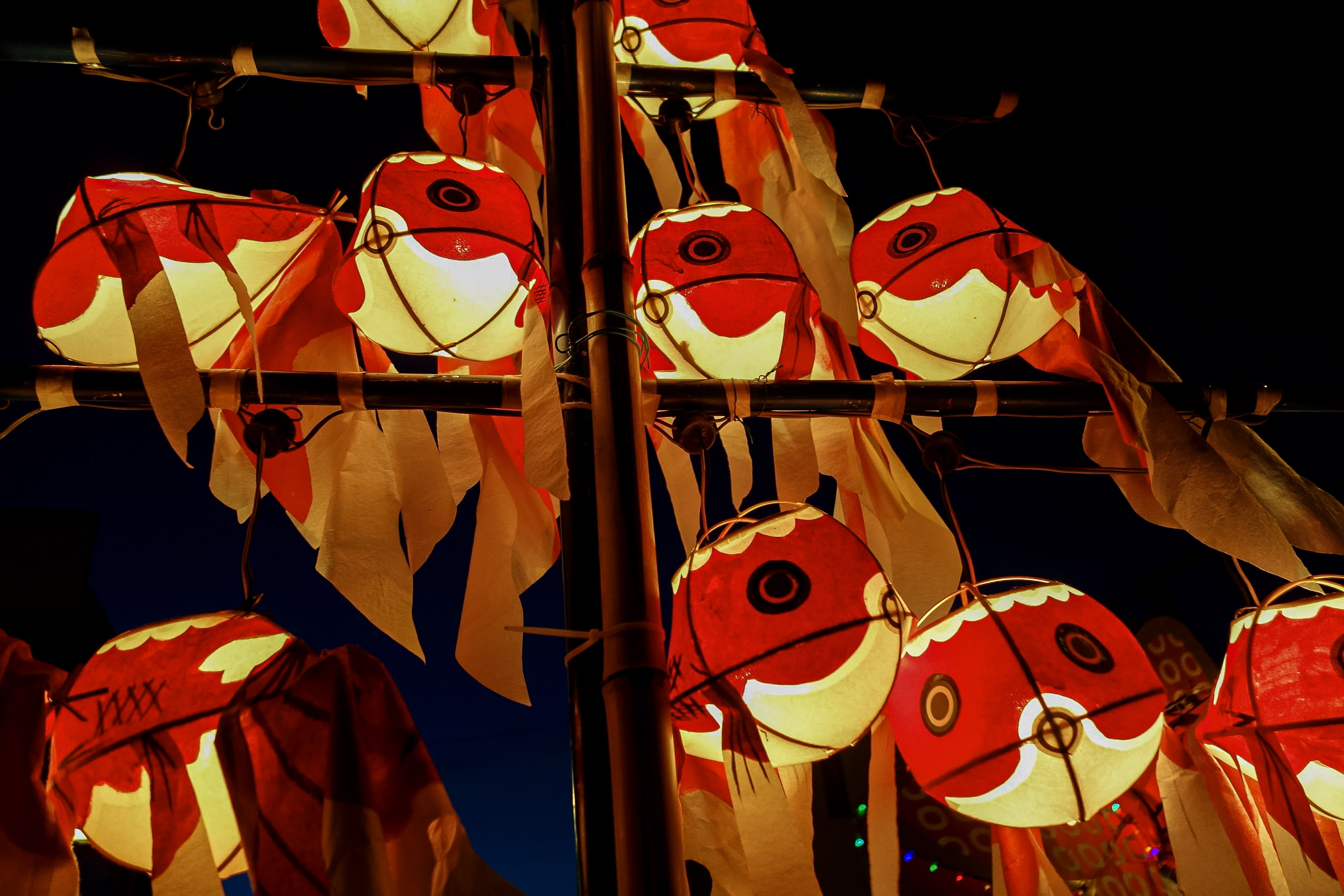 柳井的紅色金魚燈籠