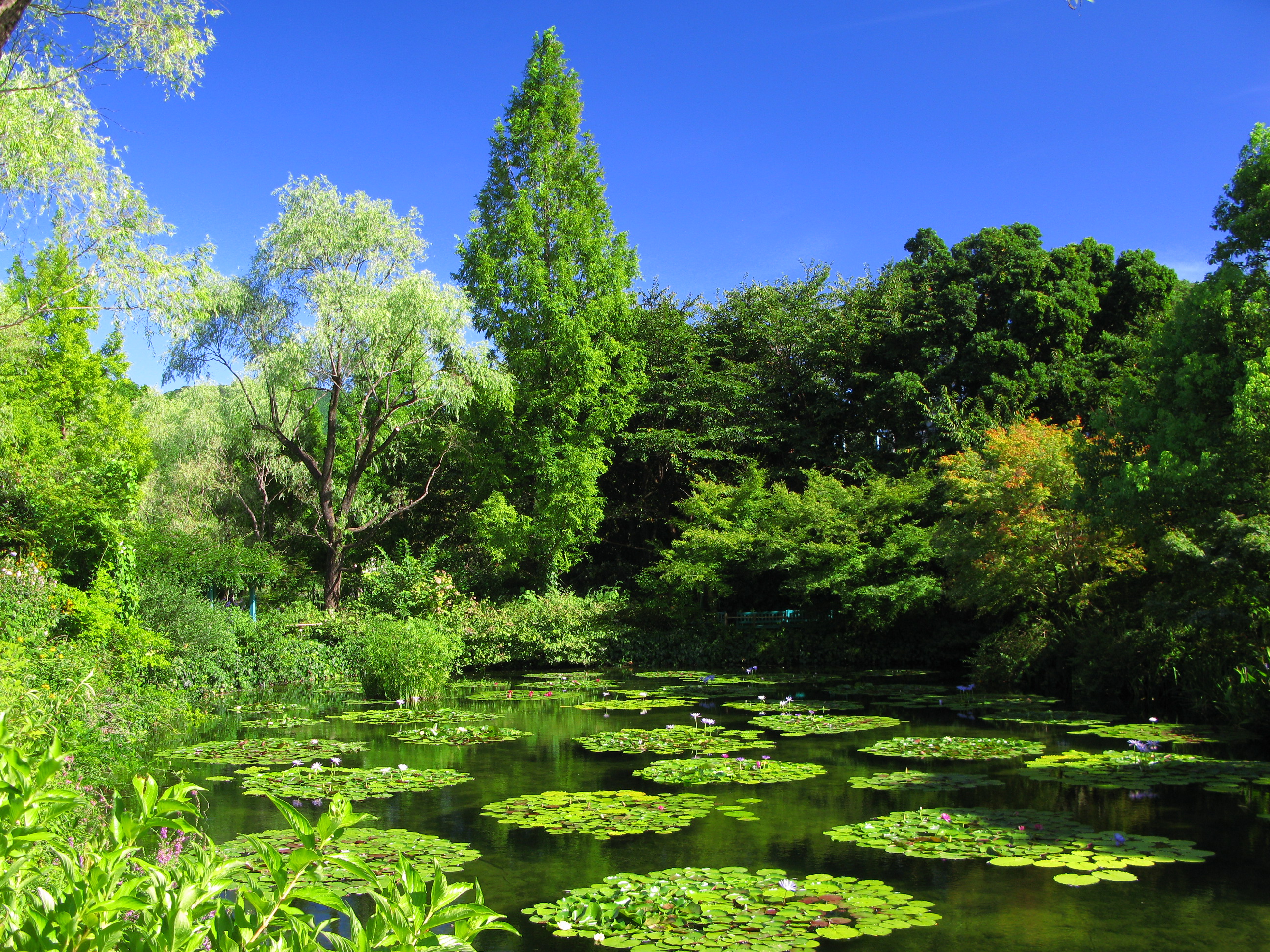 北川村莫內庭園水之庭