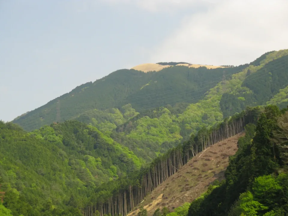 岩湧山山頂