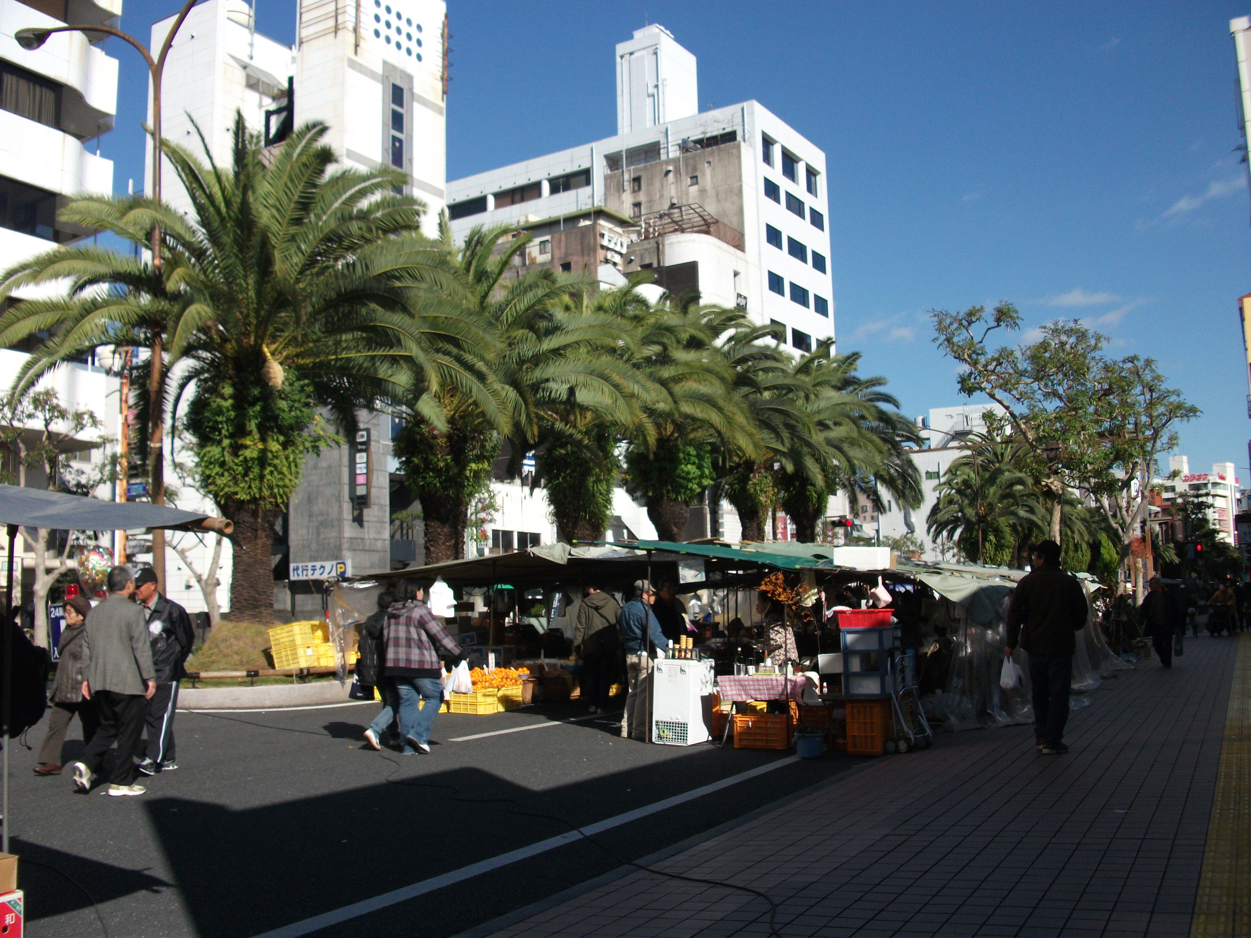 高知星期日集市