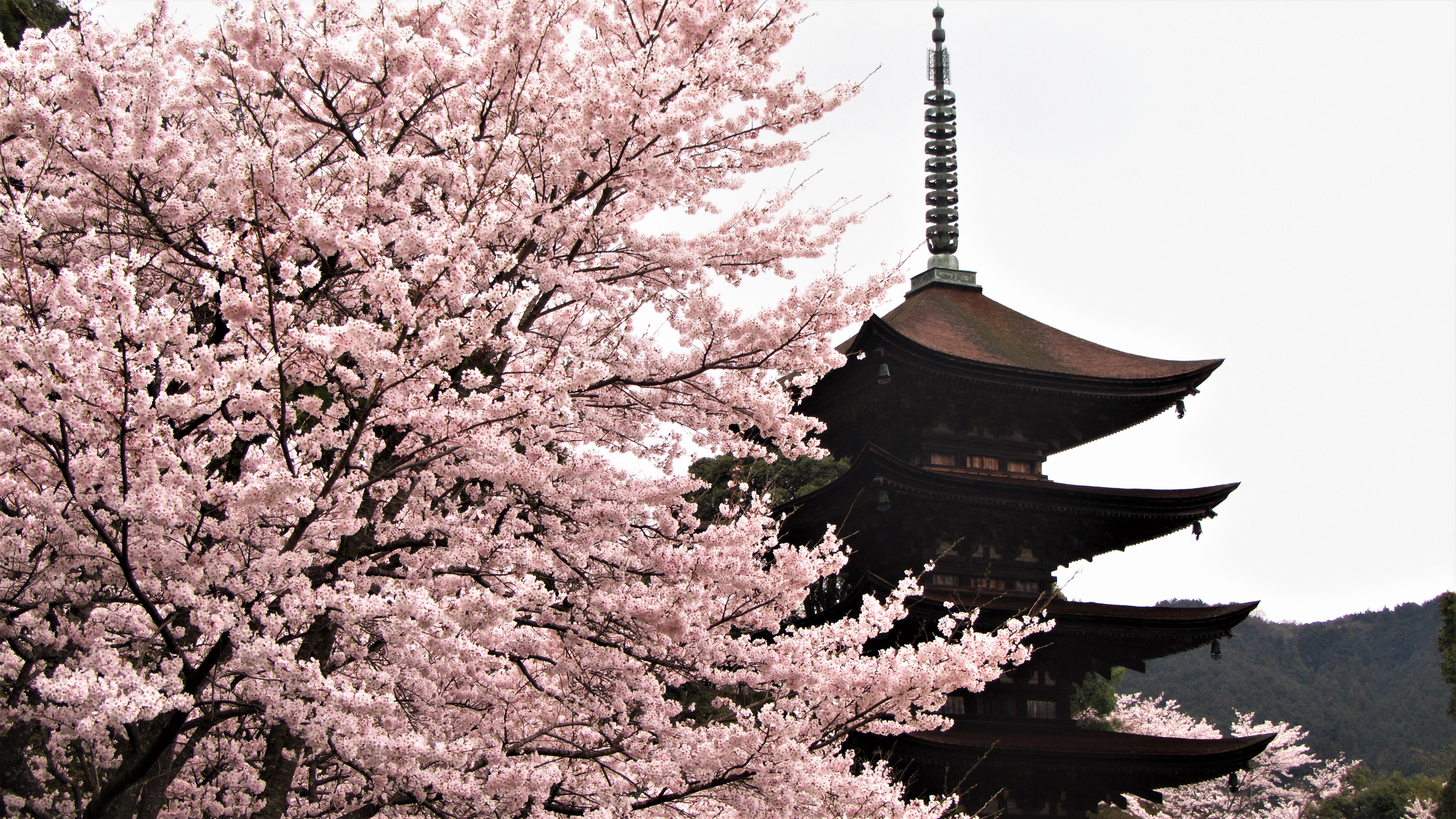 山口市瑠璃光寺五重塔