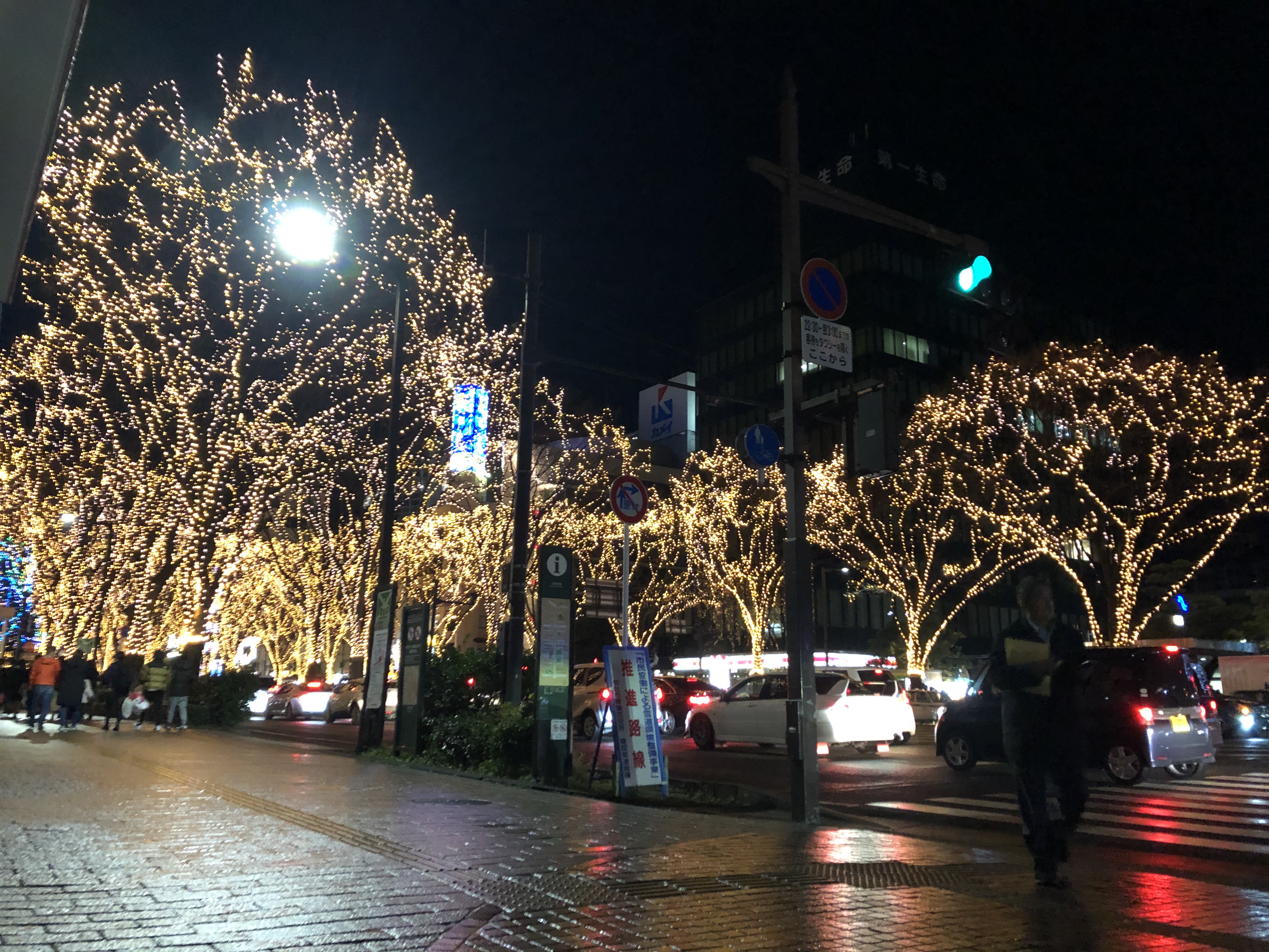 仙台光之盛典燈飾