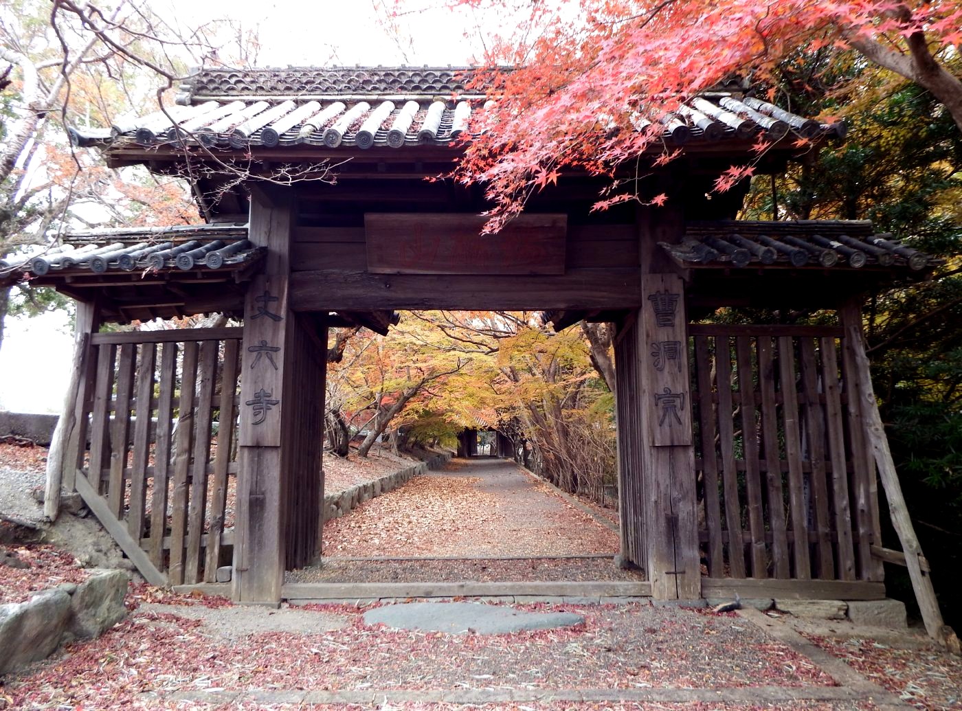 德島市丈六寺古老的木造建築與四周的紅葉