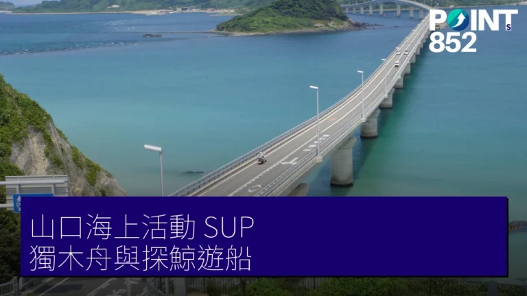山口海上活動攻略：SUP、獨木舟與周防大島探鯨遊船