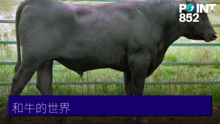 和牛的世界:日本和牛等級、產地與身分證小知識 和牛的世界:日本和牛等級、產地與身分證小知識