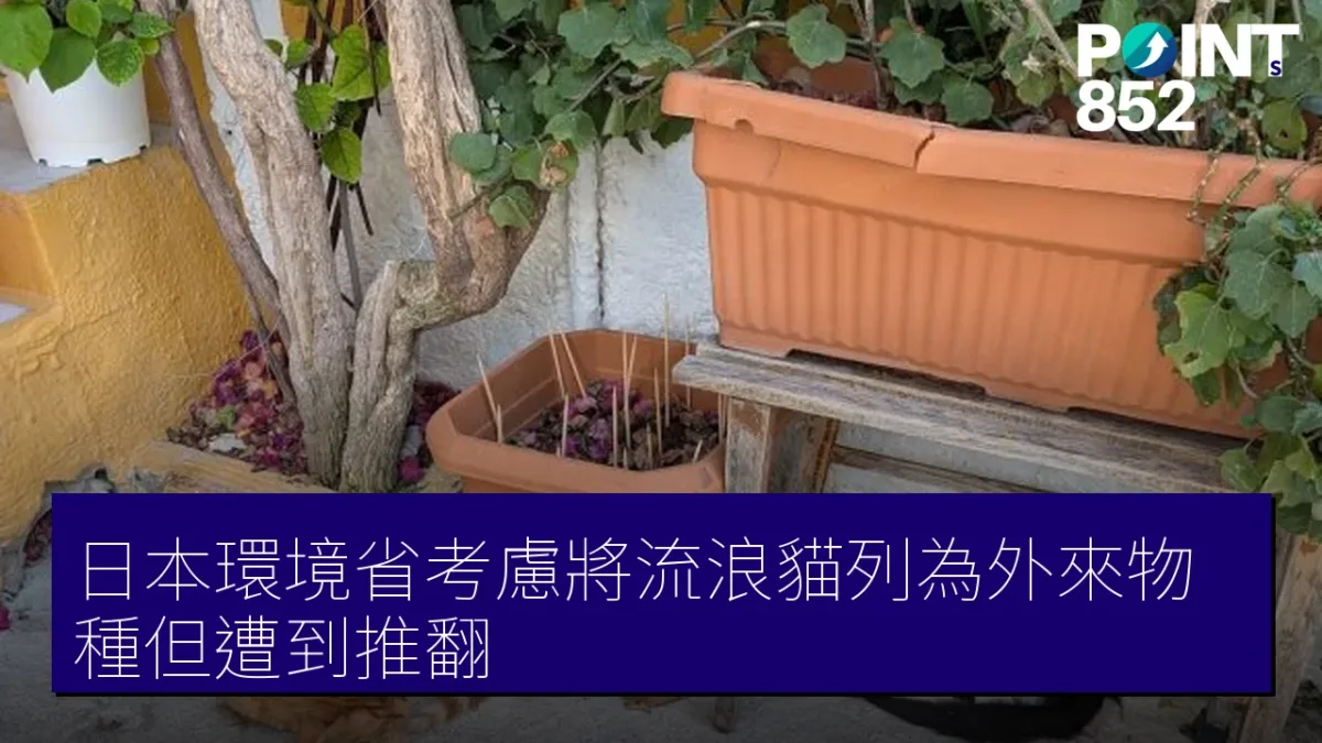 日本環境省考慮將流浪貓列為外來物種但遭到推翻 日本環境省考慮將流浪貓列為外來物種但遭到推翻