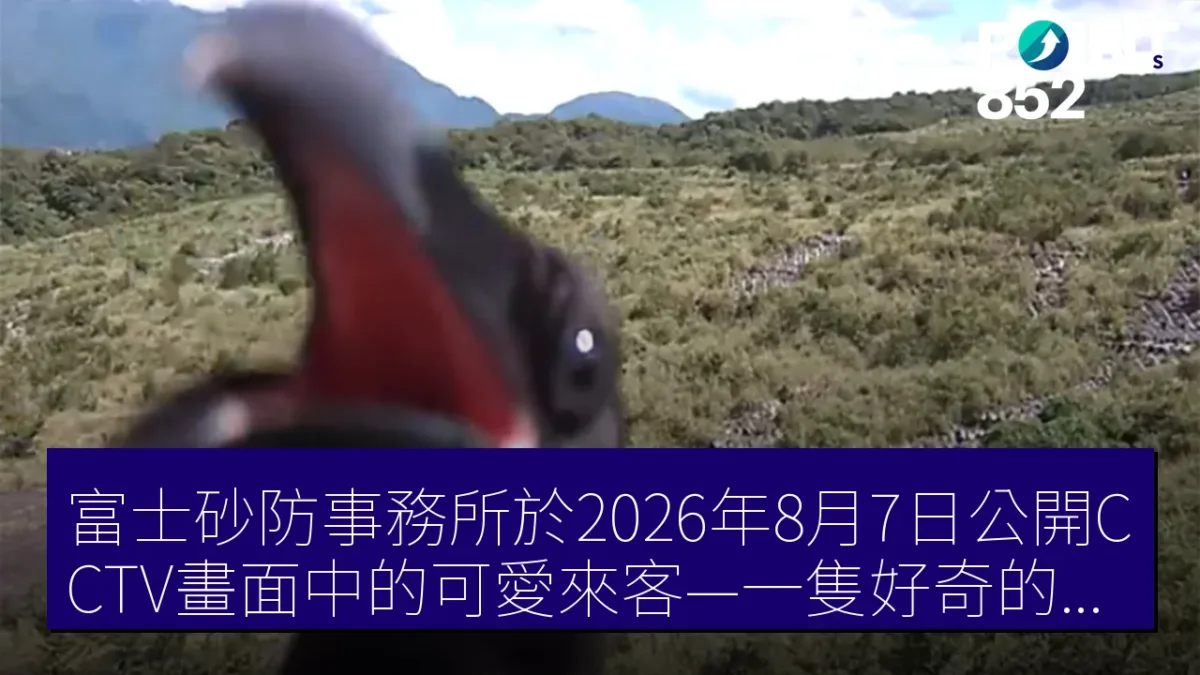 富士砂防事務所於2026年8月7日公開CCTV畫面中的可愛來客—一隻好奇的烏鴉