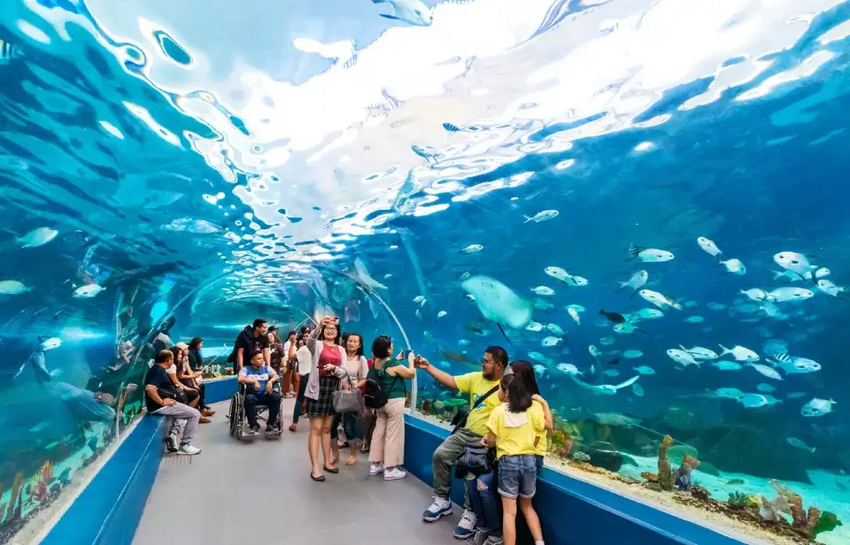 海洋生物近距離接觸