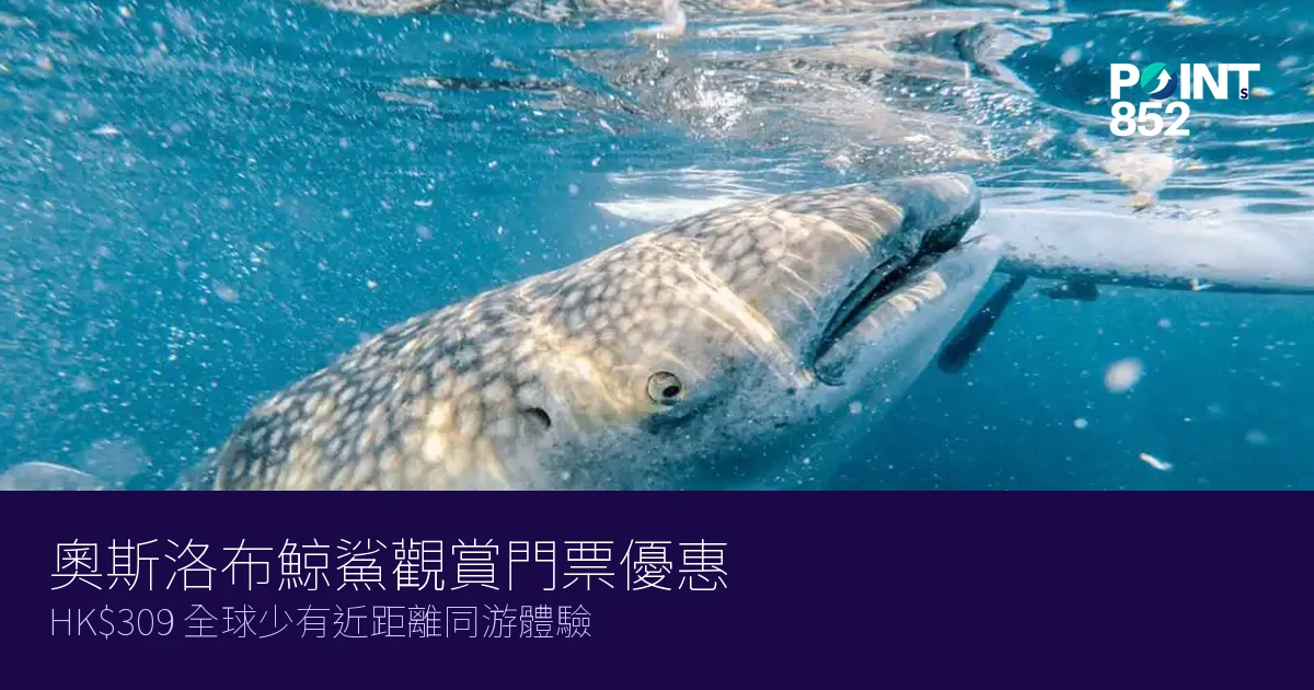 奧斯洛布鯨鯊觀賞門票優惠2026｜HK9 全球少有近距離同游體驗