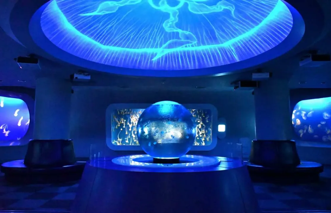 水母幻想館夢幻藍光