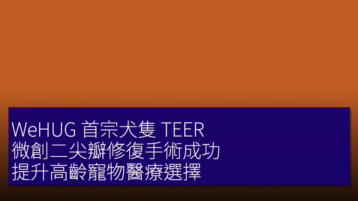 WeHUG 首宗犬隻 TEER 微創二尖瓣修復手術成功 提升高齡寵物醫療選擇