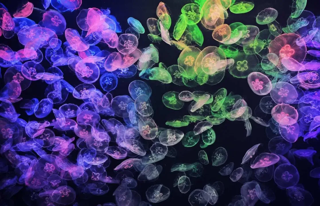 浩海立方探游館海洋主題展區