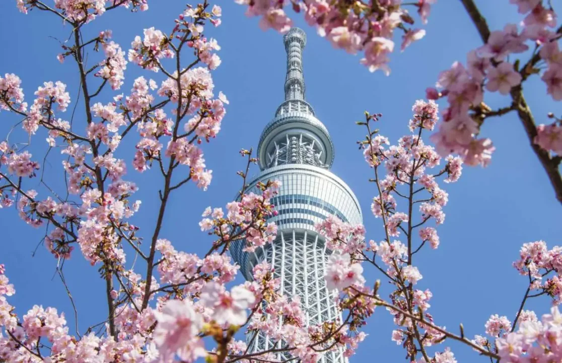東京晴空塔外觀