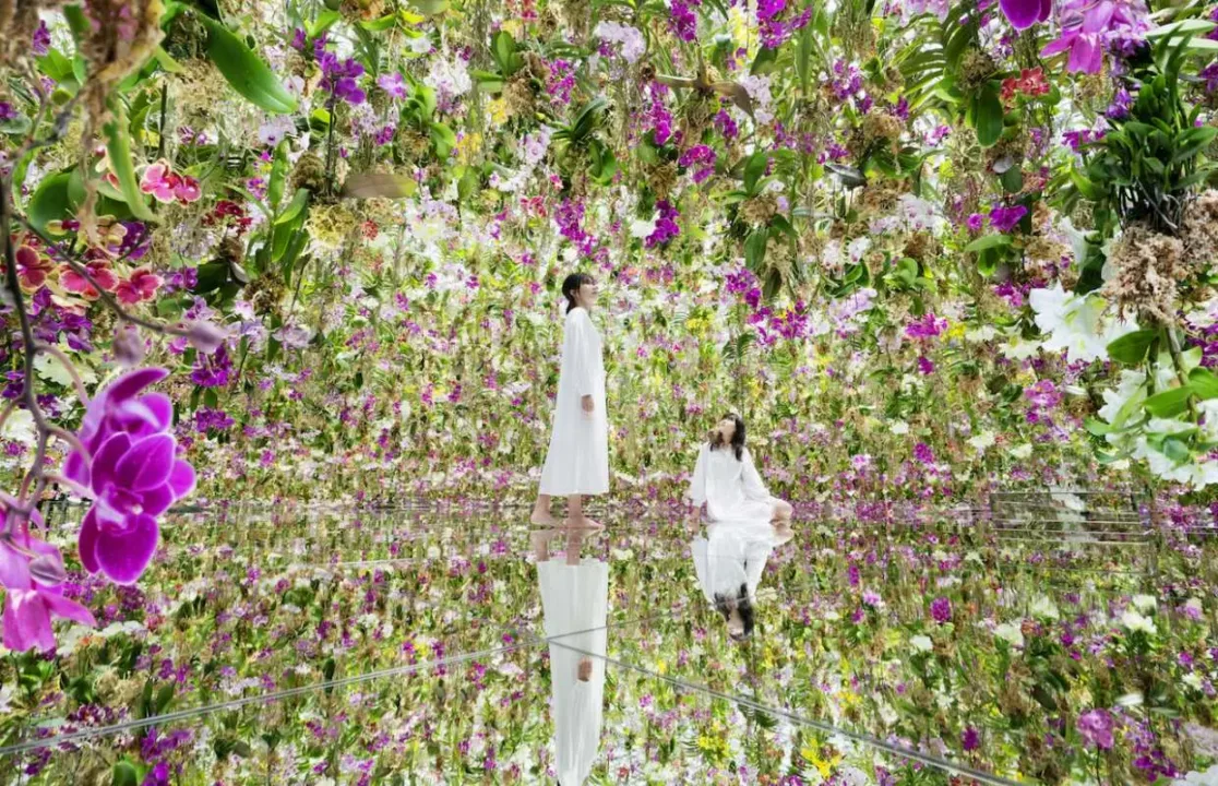 teamLab Planets沉浸式光影展區