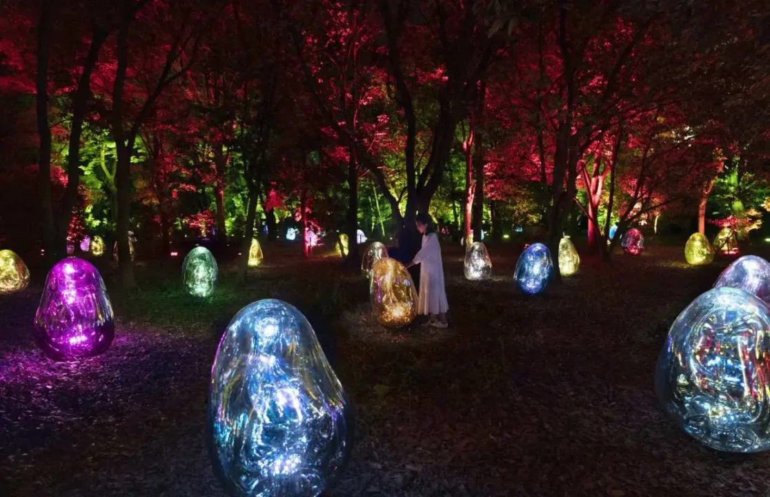 長居植物園teamLab夜間光影展