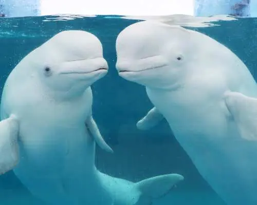 水族館展區