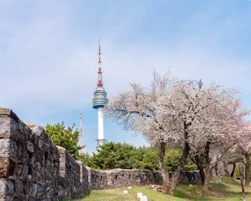 展望台首爾市景