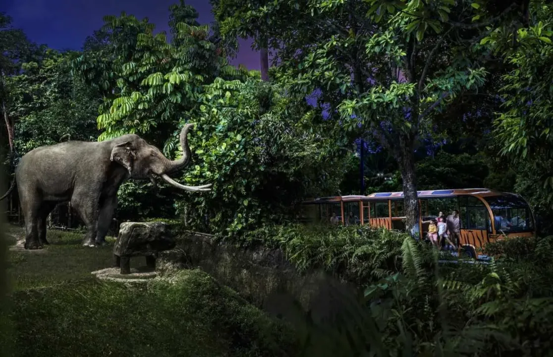 夜間野生動物園